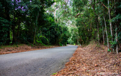 Country Road