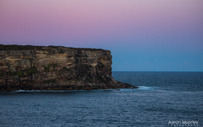 Gates of Sydney